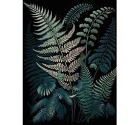 Artery8 Fern Frond Detailed Botanical Species Illustration Premium Wall Art Canvas Print 18X24 Inch