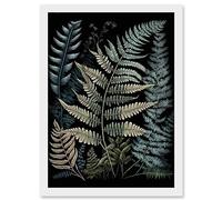 Artery8 Fern Frond Species Detailed Botanical Illustration Artwork Framed A3 Wall Art Print