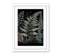 Artery8 Fern Frond Species Detailed Botanical Illustration Artwork Framed Wall Art Print 18X24 Inch