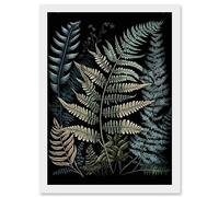 Artery8 Fern Frond Species Detailed Botanical Illustration Artwork Framed Wall Art Print A4