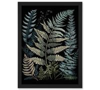 Artery8 Fern Frond Species Detailed Botanical Illustration Artwork Framed Wall Art Print A4