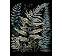 Artery8 Fern Frond Species Detailed Botanical Illustration Extra Large XL Wall Art Poster Print