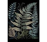 Artery8 Fern Frond Species Detailed Botanical Illustration Premium Wall Art Canvas Print 18X24 Inch