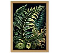 Artery8 Fern Fronds Ernst Haeckel Style Leaf Illustration Artwork Framed A3 Wall Art Print
