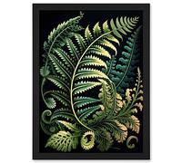Artery8 Fern Fronds Ernst Haeckel Style Leaf Illustration Artwork Framed A3 Wall Art Print