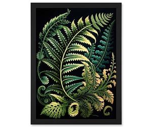 Artery8 Fern Fronds Ernst Haeckel Style Leaf Illustration Artwork Framed A3 Wall Art Print