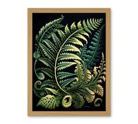 Artery8 Fern Fronds Ernst Haeckel Style Leaf Illustration Artwork Framed Wall Art Print 18X24 Inch