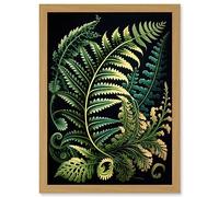 Artery8 Fern Fronds Ernst Haeckel Style Leaf Illustration Artwork Framed Wall Art Print A4