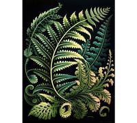 Artery8 Fern Fronds Ernst Haeckel Style Leaf Illustration Extra Large XL Wall Art Poster Print