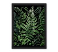 Artery8 Fern Fronds Illustration Ernst Haeckel Style Artwork Framed Wall Art Print 18X24 Inch