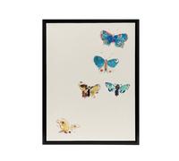 Artery8 Five Butterflies Watercolour Redon Black Framed Canvas Wall Art in White | Size: W18" x H24" Artery8 White W18" x H24"