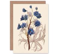 Artery8 Flora Conspicua Clark Delphinium Elegans Greetings Card in Blue Artery8 Blue