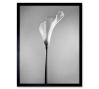 Artery8 Flower Black & White Calla Lily Home Decor 12x16" Framed Art Print in Grey | Size: W12" x H16" Artery8 Grey W12" x H16"