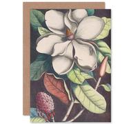 Artery8 Flower Magnolia Botany Greetings Card Artery8 Multicolor