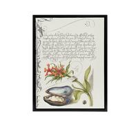 Artery8 Flower Mussel & Ladybird Calligraphy Framed Canvas Wall Art Print in White | Size: W24" x H32" Artery8 White W24" x H32"