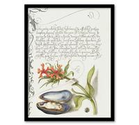 Artery8 Flower Mussel & Ladybird Calligraphy Framed Wall Art Print in White | Size: A4 Artery8 White A4
