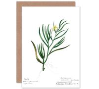 Artery8 Flower Plant Botany John Torry Greetings Card in Green Artery8 Green