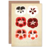 Artery8 Flower Plant Botany Red Pansies Greetings Card Artery8 Red