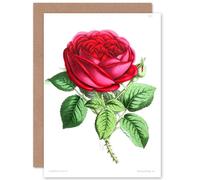 Artery8 Flower Rose Red Greetings Card Artery8 Red