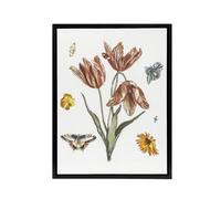 Artery8 Flowers Butterflies & A Fly Johan Teyler Black Framed Canvas Art in White | Size: W12" x H16" Artery8 White W12" x H16"