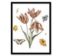 Artery8 Flowers Butterflies & A Fly Johan Teyler Framed Wall Art Print in White | Size: A4 Artery8 White A4