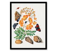 Artery8 Flowers Butterflies & Seashells Bolton Framed Wall Art Print | Size: A4 Artery8 Multicolor A4