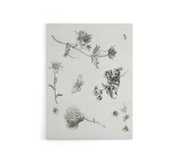 Artery8 Flowers Leaves Butterfly Drawing Canvas Wall Art Print Hoytema in White | Size: W18" x H24" Artery8 White W18" x H24"