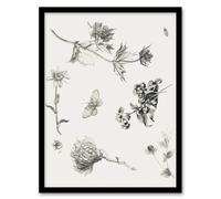 Artery8 Flowers Leaves Butterfly Drawing Vintage Framed Wall Art Print Hoytema in White | Size: W12" x H16" Artery8 White W12" x H16"