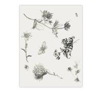 Artery8 Flowers Leaves Butterfly Drawing Vintage Wall Art Print Hoytema in White | Size: W18" x H24" Artery8 White W18" x H24"
