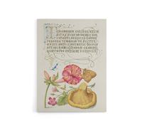 Artery8 Flowers Mushroom & Butterfly Calligraphy Canvas Wall Art Print in White | Size: W12" x H16" Artery8 White W12" x H16"