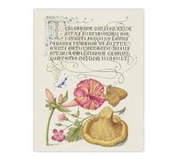 Artery8 Flowers Mushroom & Butterfly Calligraphy Wall Art Poster Print in White | Size: W24" x H32" Artery8 White W24" x H32"