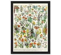 Artery8 Flowers Plants Multicolored Botanical A4 Artwork Framed Wall Art Print