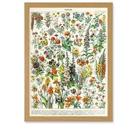 Artery8 Flowers Plants Multicolored Botanical A4 Artwork Framed Wall Art Print