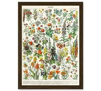 Artery8 Flowers Plants Multicolored Botanical A4 Artwork Framed Wall Art Print