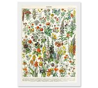 Artery8 Flowers Plants Multicolored Botanical A4 Artwork Framed Wall Art Print