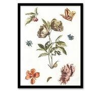 Artery8 Flowers Snail & a Caterpillar Johan Teyler Framed Wall Art Print in White | Size: A3 Artery8 White A3