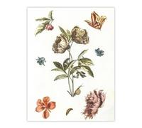 Artery8 Flowers Snail & a Caterpillar Johan Teyler Wall Art Poster Print in White | Size: W12" x H16" Artery8 White W12" x H16"