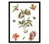 Artery8 Flowers Snail And A Caterpillar Johan Teyler Framed Wall Art Print 12X16"