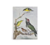 Artery8 Four Different Birds on a Branch Schouman Canvas Wall Art Print | Size: W24" x H32" Artery8 Multicolor W24" x H32"