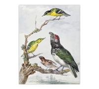 Artery8 Four Different Birds On A Branch Schouman Wall Art Poster Print 12X16"