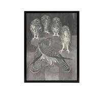 Artery8 Four Owls & Two Kestrels Framed Canvas Wall Art Print van Hoytema in Grey | Size: W18" x H24" Artery8 Grey W18" x H24"