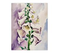 Artery8 Foxglove Digitalis Flower Botanical Watercolour Living Room Large Wall Art Poster Print Thick Paper 18X24 Inch