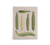 Artery8 Frame Cucumbers Kitchen Decor Ernst Benary Canvas Wall Art Print in White | Size: W24" x H32" Artery8 White W24" x H32"