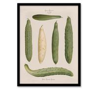 Artery8 Frame Cucumbers Kitchen Decor Ernst Benary Framed Wall Art Print 12X16"