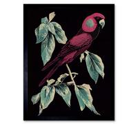 Artery8 Framed Wall Art Burgundy Parakeet Retro Modern Vintage Tropical Jungle - 12X16 Inch