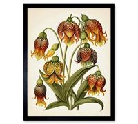 Artery8 Framed Wall Art Ernst Haeckel Inspired Fritillaria Flower Plant Study Modern Watercolour Painting - 12X16 Inch