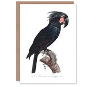 Artery8 Francois Levaillant Art Card Black Palm Cockatoo Parrot