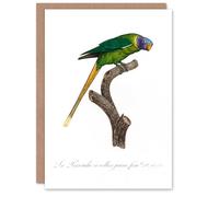 Artery8 Francois Levaillant Art Card Female Plum Headed Parakeet