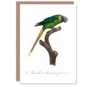 Artery8 Francois Levaillant Art Card Female Plum Headed Parakeet