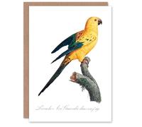 Artery8 Francois Levaillant Art Card Female Sun Parakeet Bird
